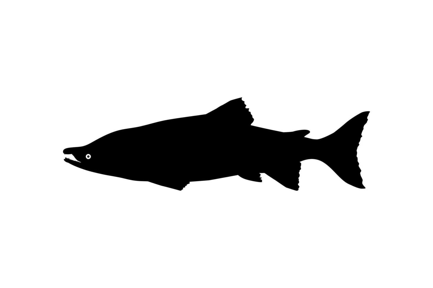 Salmon Fish Silhouette for Icon, Symbol, Logo, Pictogram, Apps, Website or Graphic Design Element. Vector Illustration