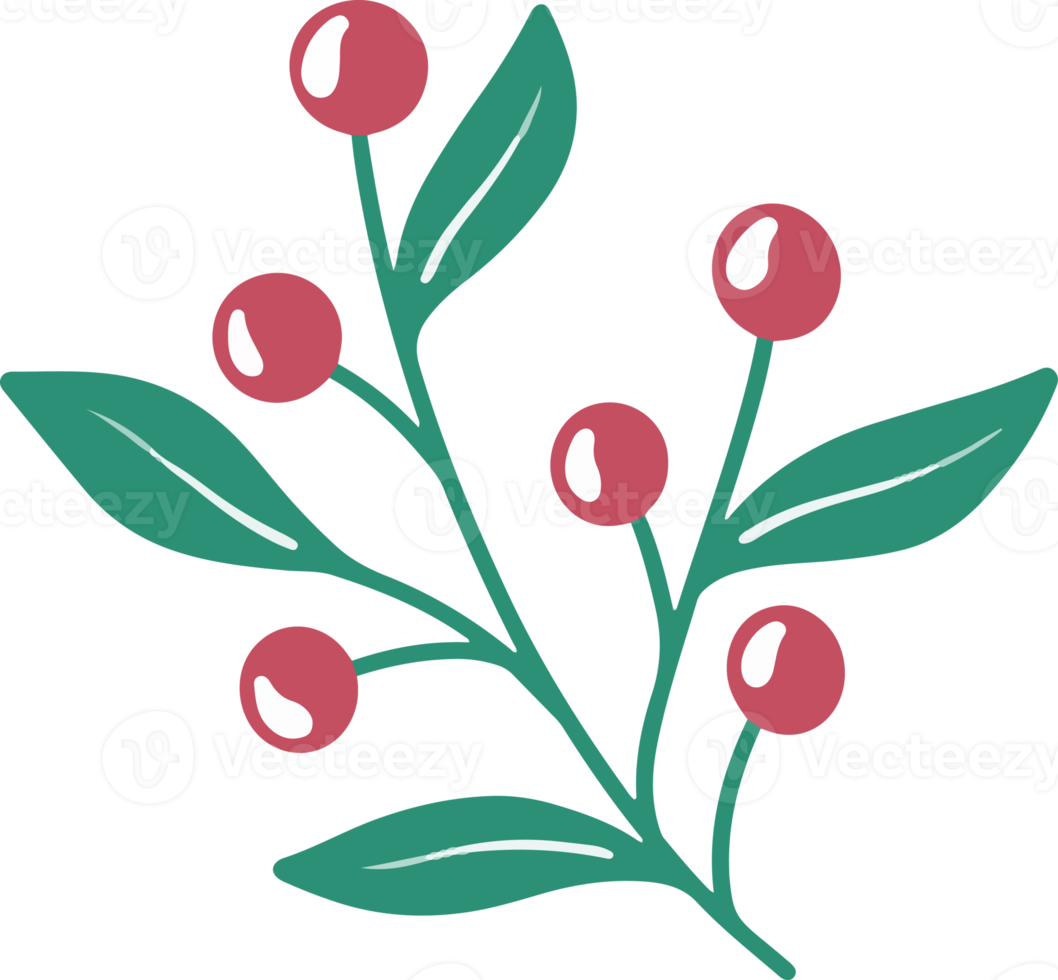 Natale agrifoglio le foglie e frutti di bosco png