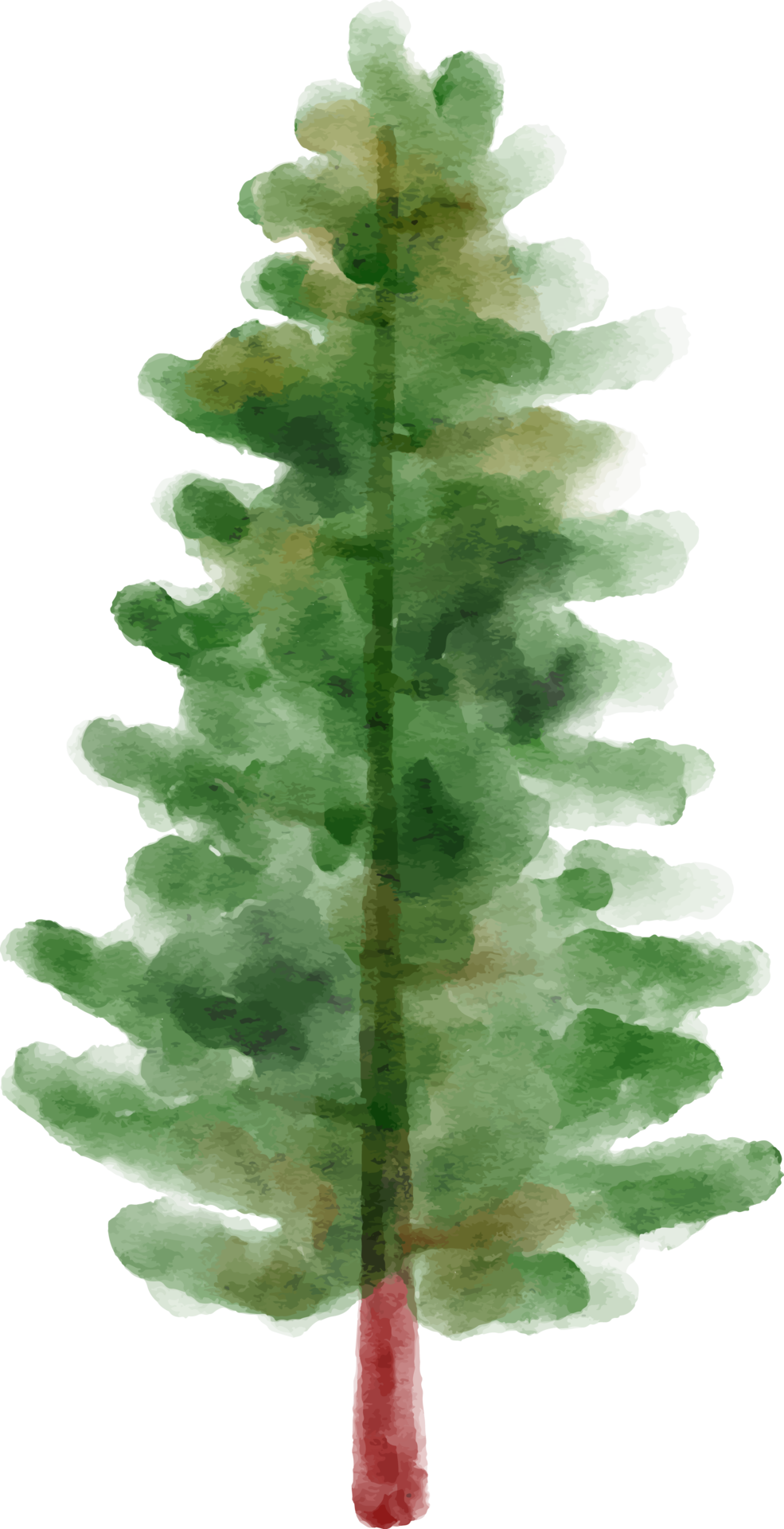 Winter pine tree watercolor 12499570 png