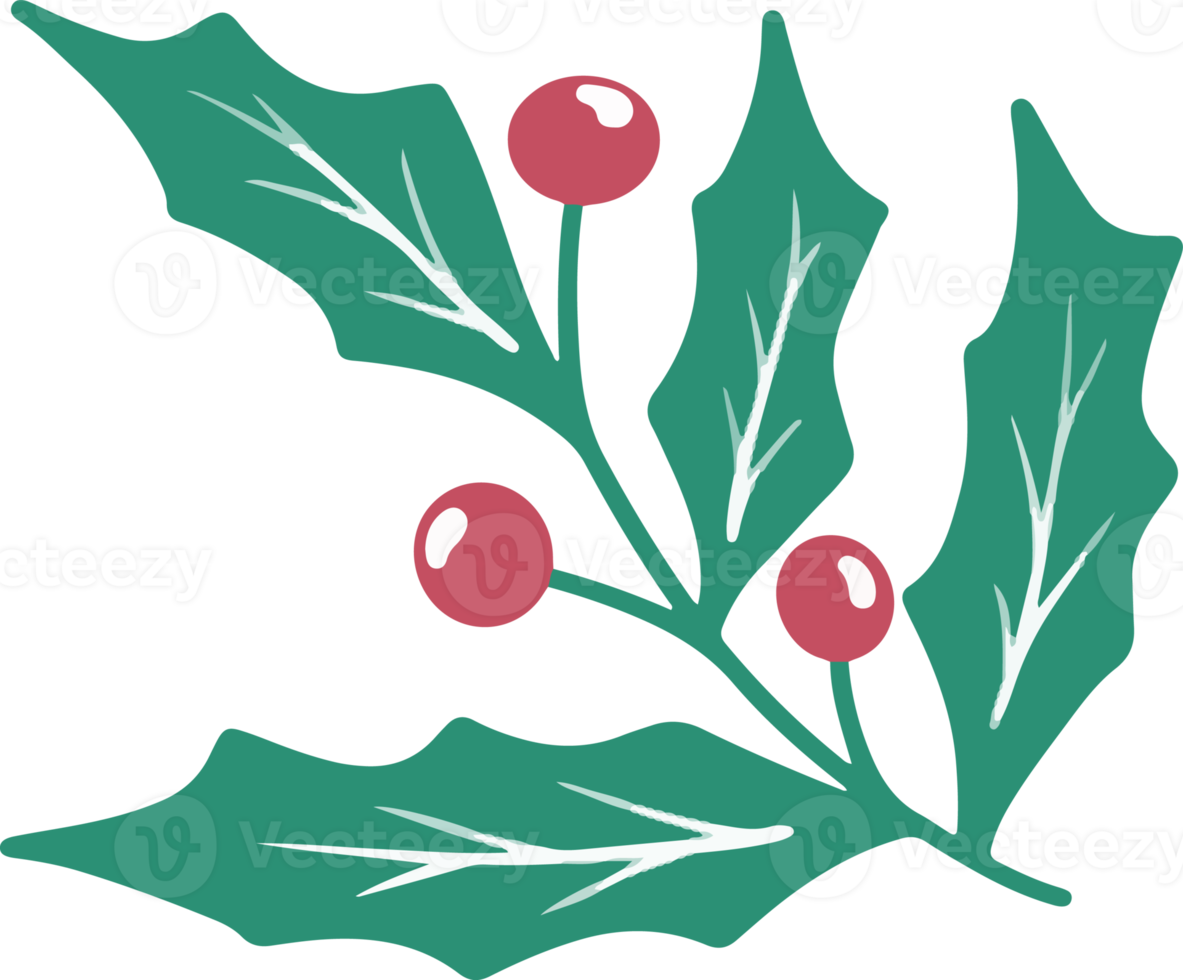 Christmas Holly leaves and berries png