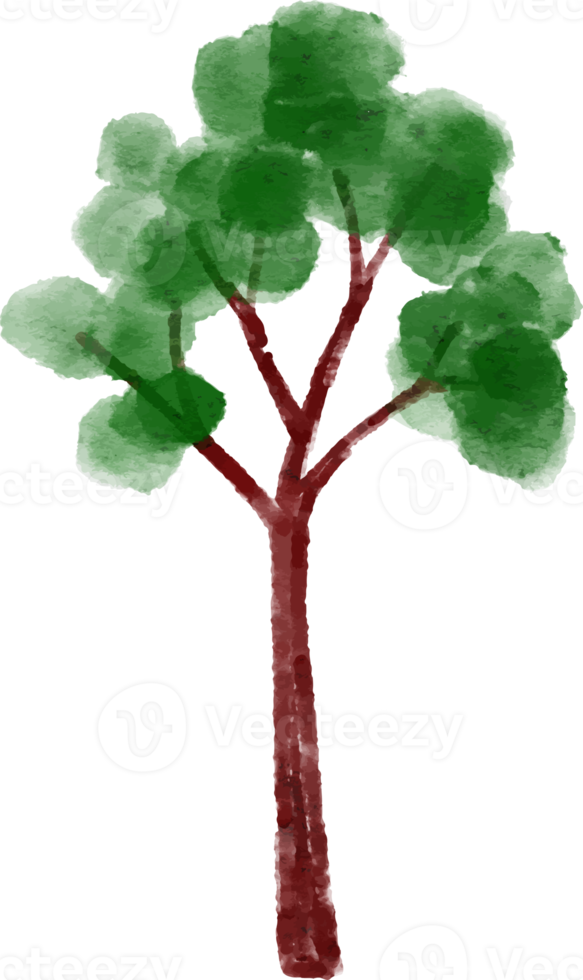 Tree Watercolor Illustration png