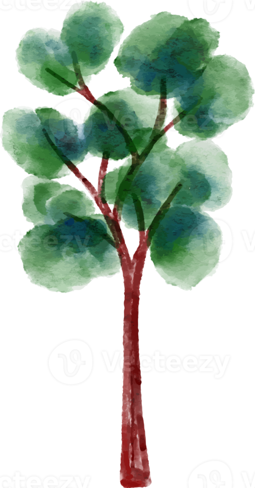 Watercolor Tree element png