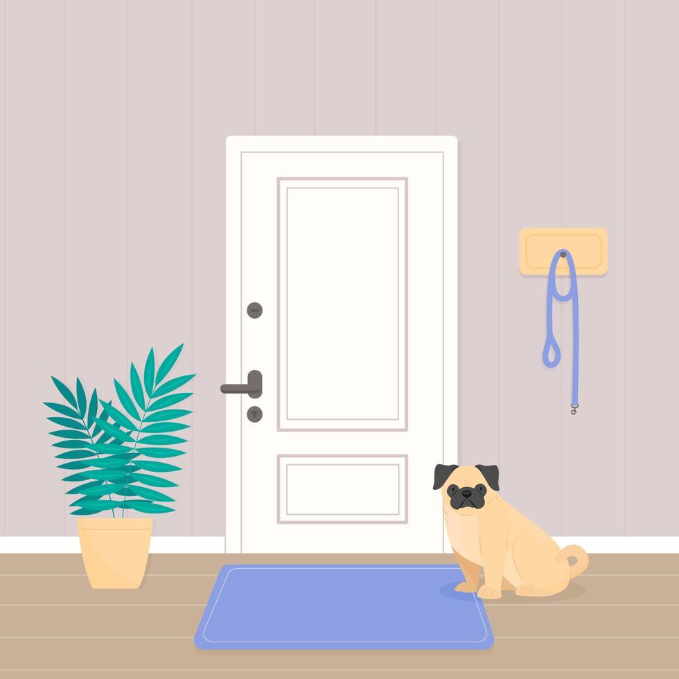 A pug dog is waiting for a walk. The dog is sitting in the hallway by the door. Vector pet illustration.