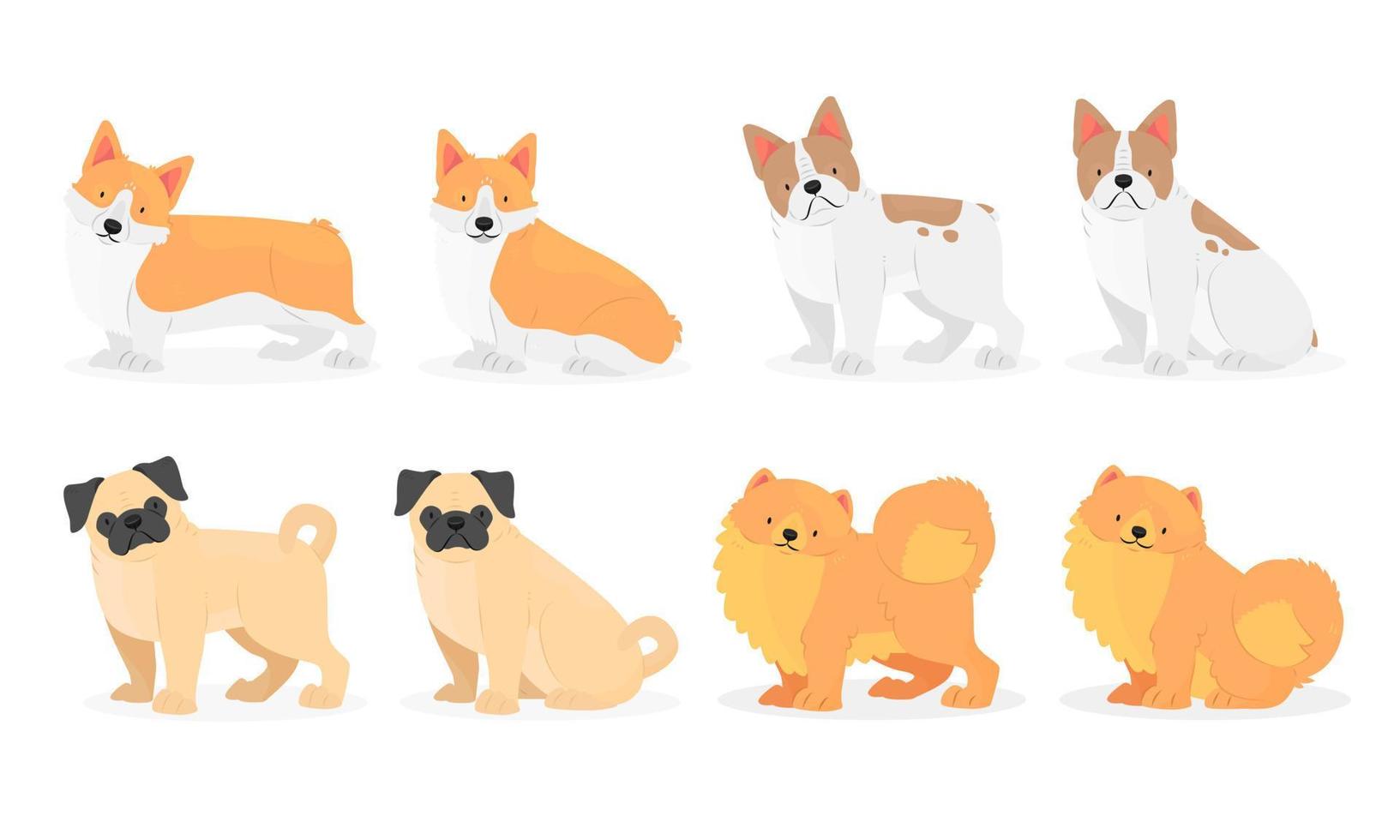 colección de razas de perros pug, pomeranian, bulldog francés, corgi galés. ilustración animal aislada vectorial. vector