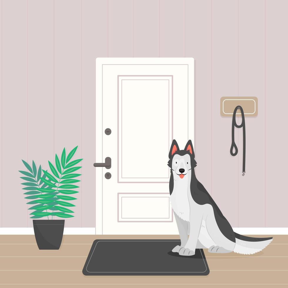 A Siberian Husky dog is waiting for a walk. The dog is sitting in the hallway by the door. Vector pet illustration.