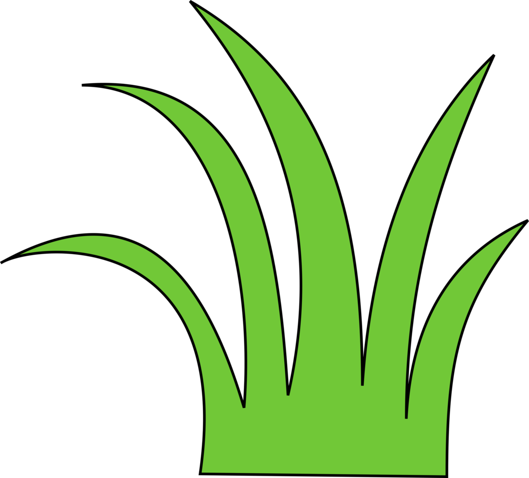 groen gras png