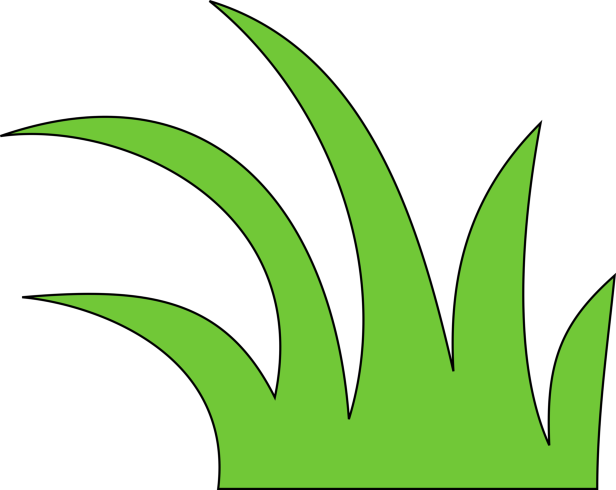 green grass png