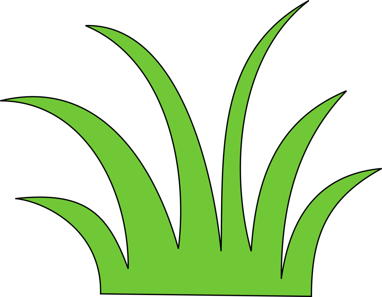 green grass png