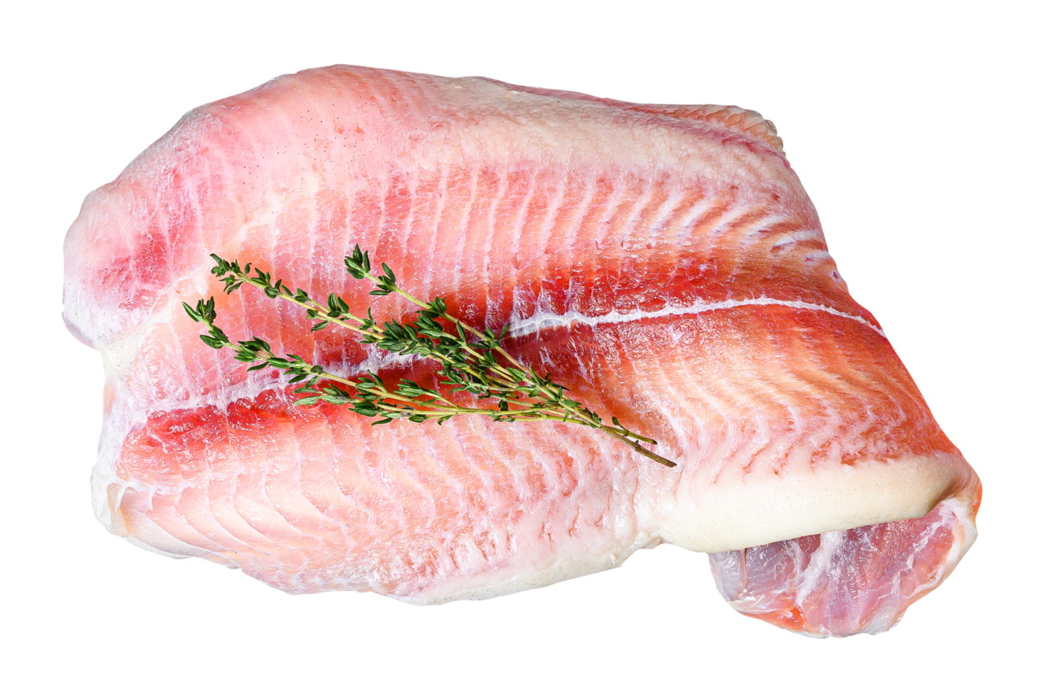 raw fillet of white fish catfish png