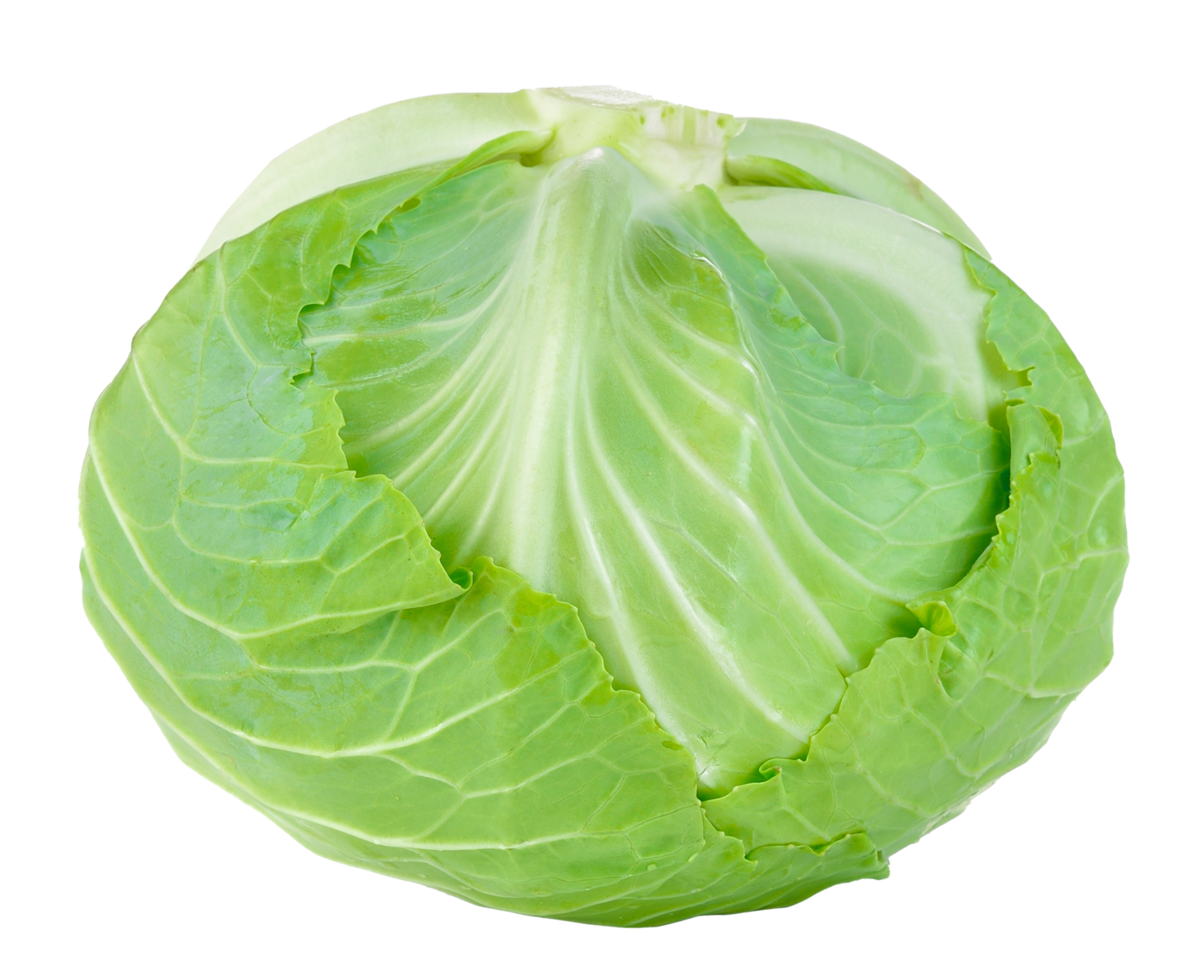 groene kool geïsoleerd png