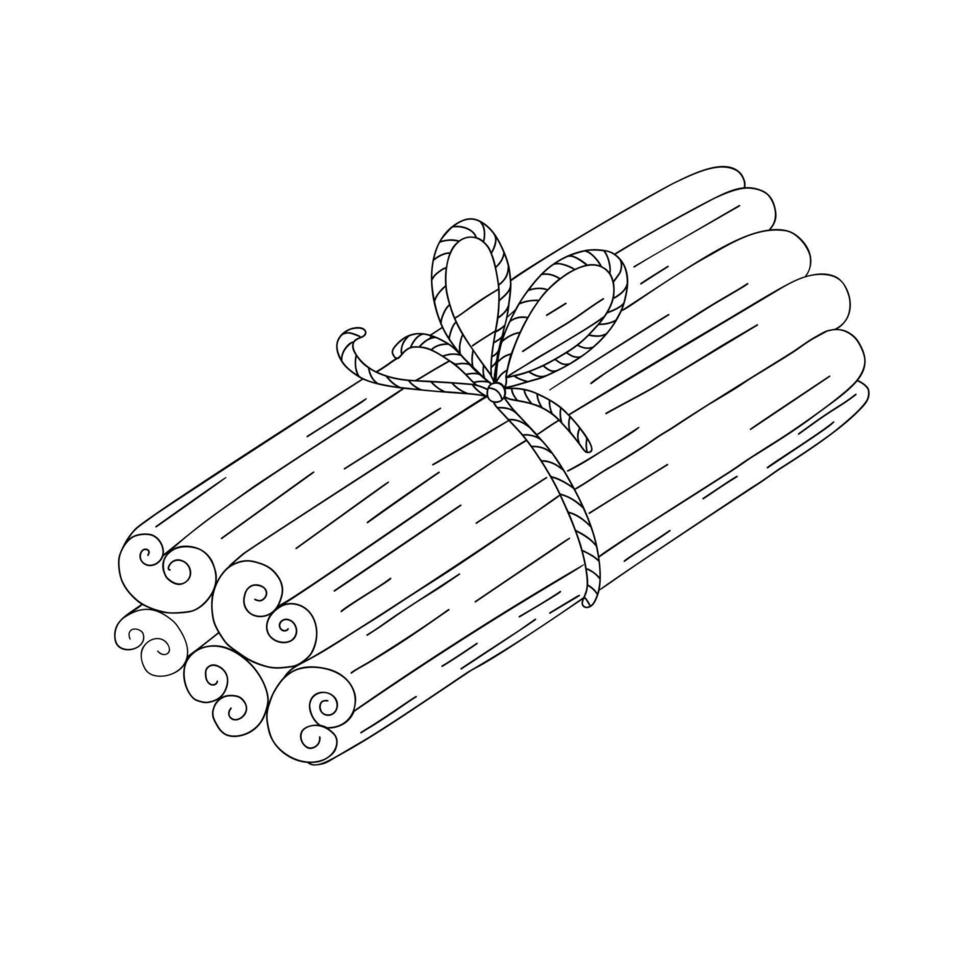 Cinnamon sticks spice bound with ribbon and bow simple outline doodle vector illustration, Christmas, New Year festive holiday home decor, seasonal greeting card, invitation, banner