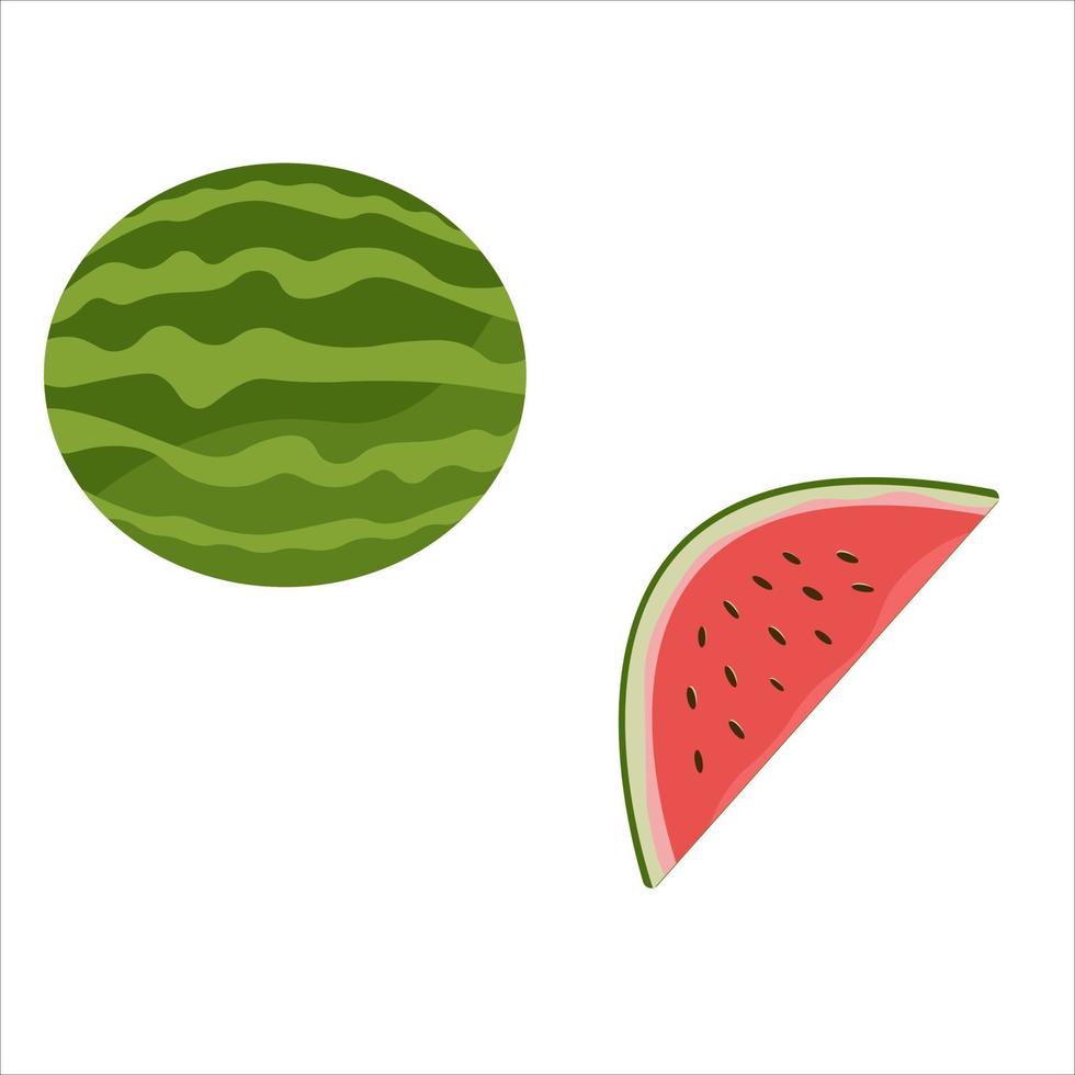 Fresh and juicy whole watermelons and slices vector