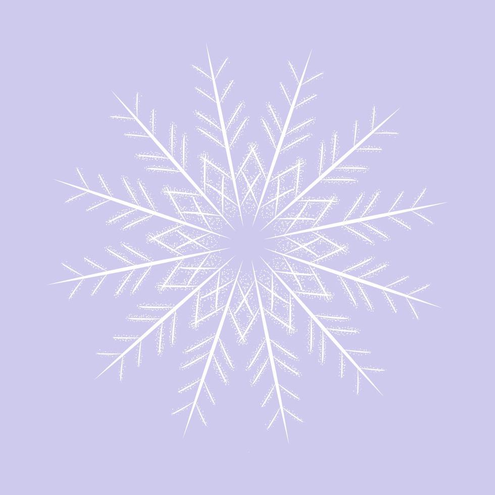 white snowflake on a blue backgrund. Icon graphic vector