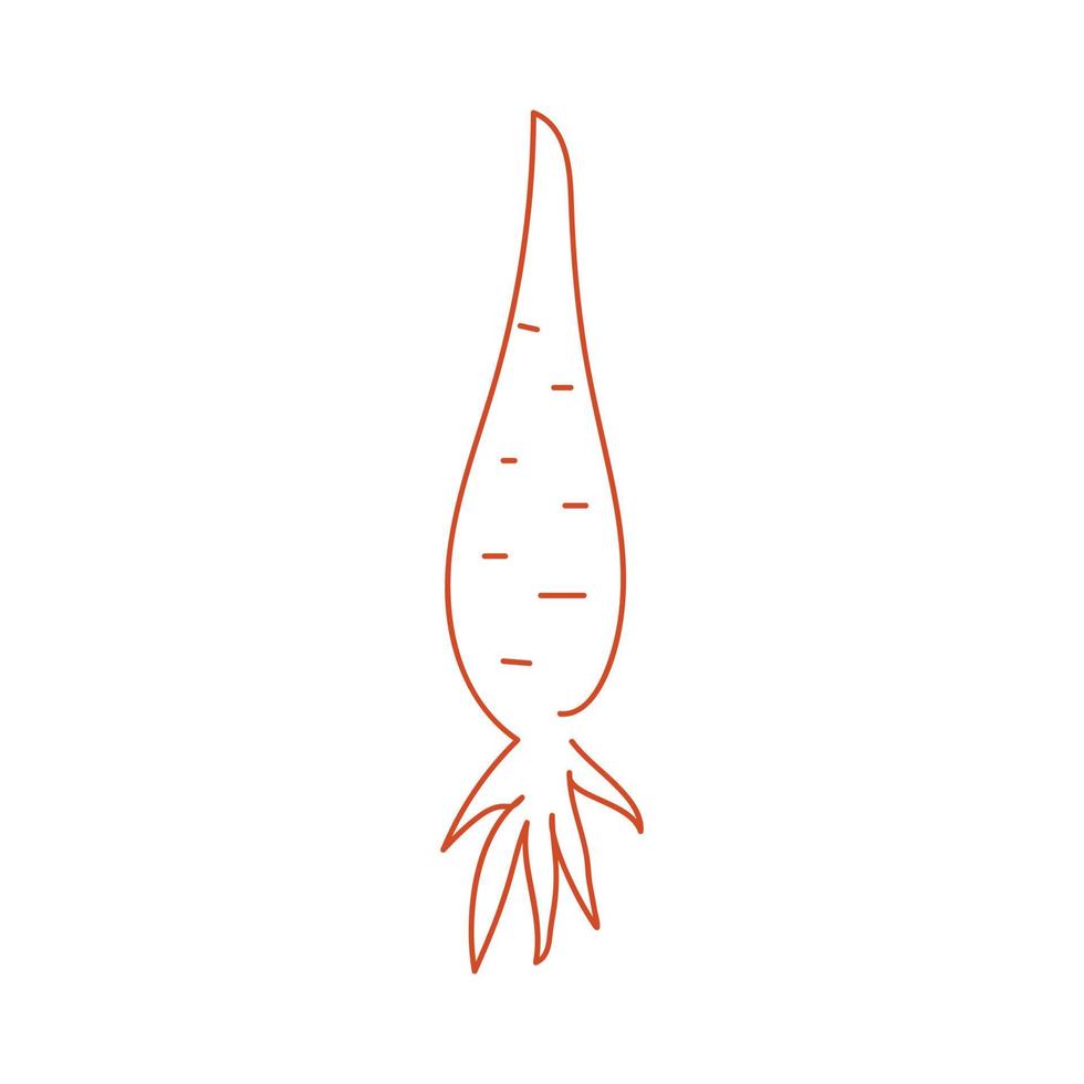 Carrot Line Art Vector Illustration.Continuous line carrot design