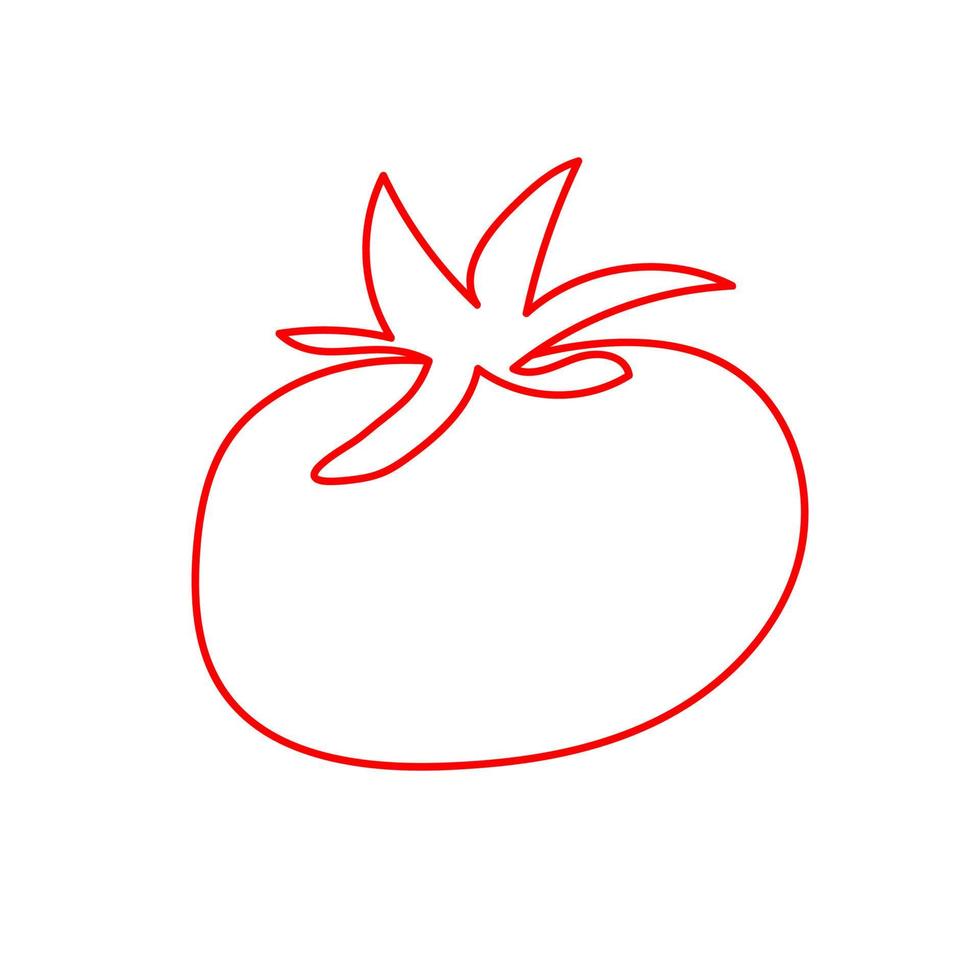 Continuous one line drawing of tomato. Minimal style. Food vegetable concept vector