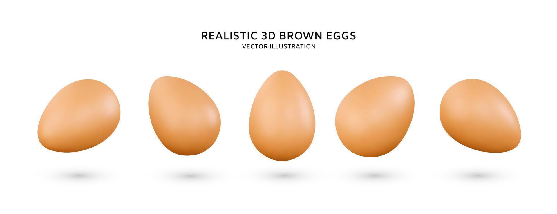 Realistic 3d brown eggs vector illustration