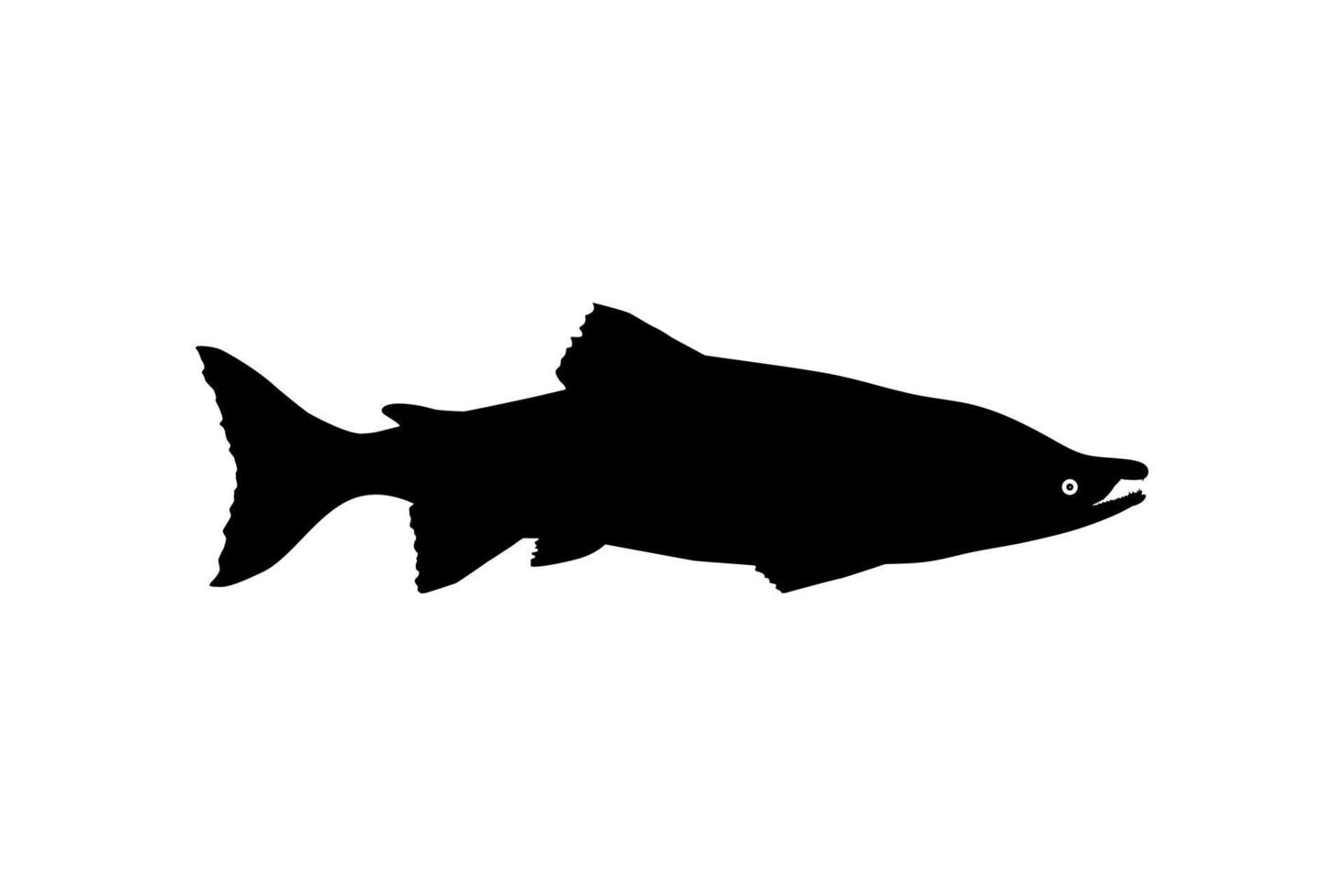silueta de salmón para icono, símbolo, logotipo, pictograma, aplicaciones, sitio web o elemento de diseño gráfico. ilustración vectorial vector