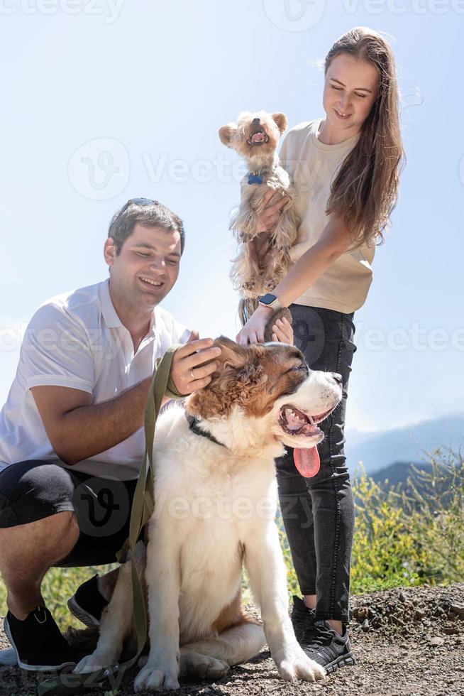 pareja joven que viaja con perros en las montañas, perro st.bernard y yourkshire terrier foto