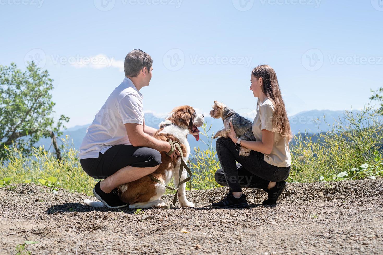 pareja joven que viaja con perros en las montañas, perro st.bernard y yourkshire terrier foto