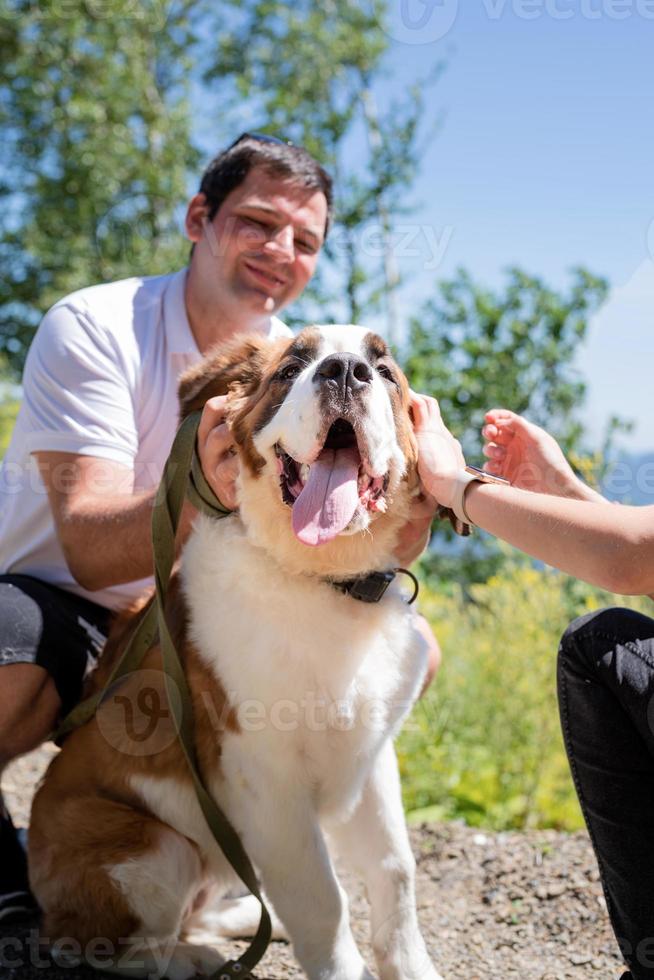 pareja joven que viaja con perros en las montañas, perro st.bernard y yourkshire terrier foto