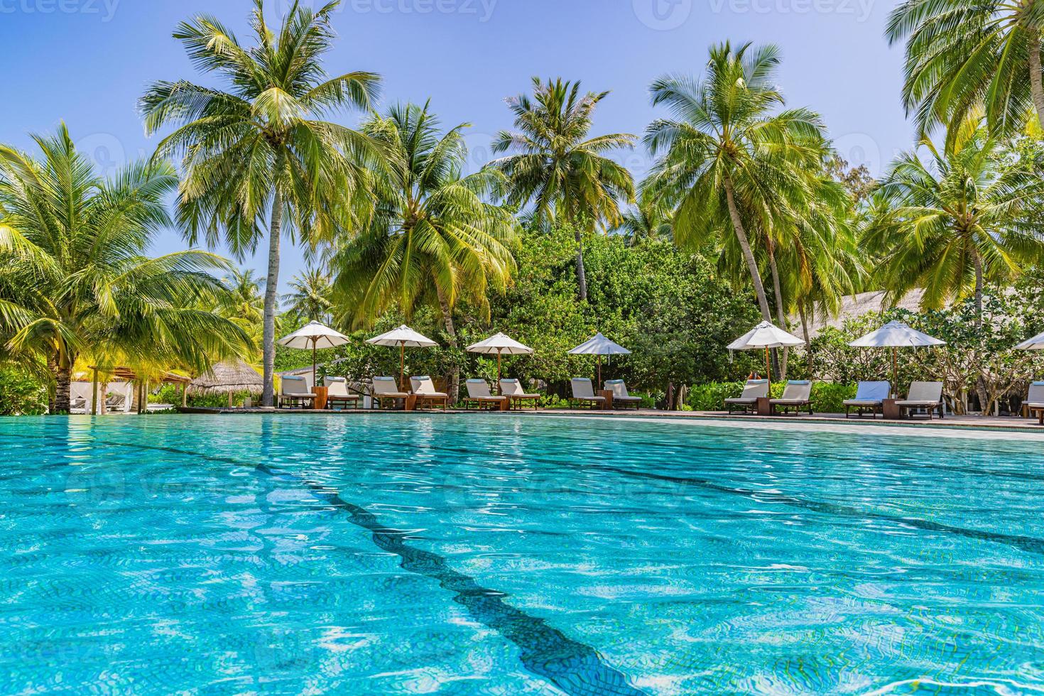 Beautiful luxury umbrella and chair with outdoor swimming pool in tropical beach hotel resort. Coconut palm trees at poolside. Summer travel vacation background concept. Amazing relax, freedom scenic photo