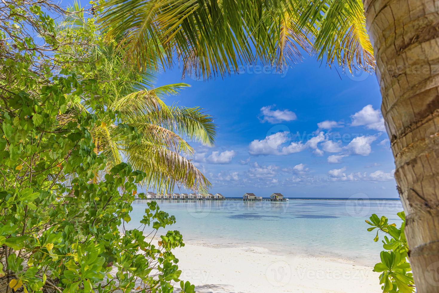 Tranquil beach scene. Sunny exotic tropical beach landscape for background or wallpaper. Beautiful summer vacation holiday concept. Luxury travel destination idyllic nature scenery with palm tree leaf photo