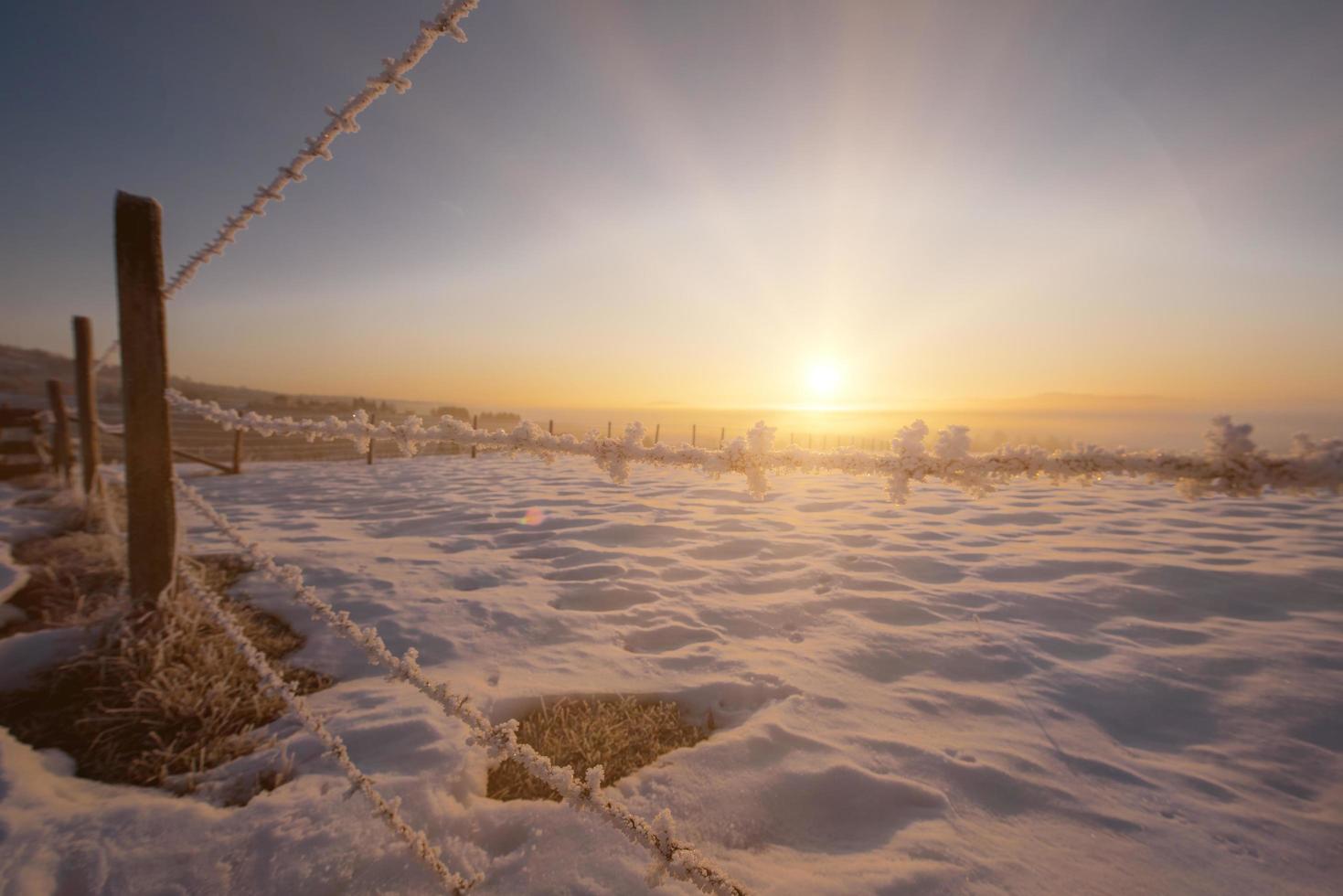 winter landscape during sunset photo