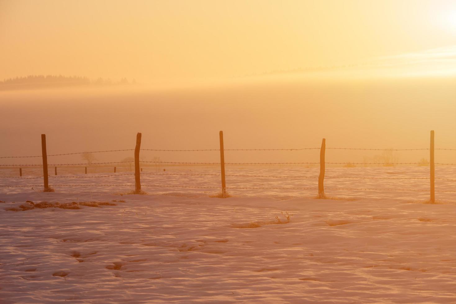 winter landscape during sunset photo