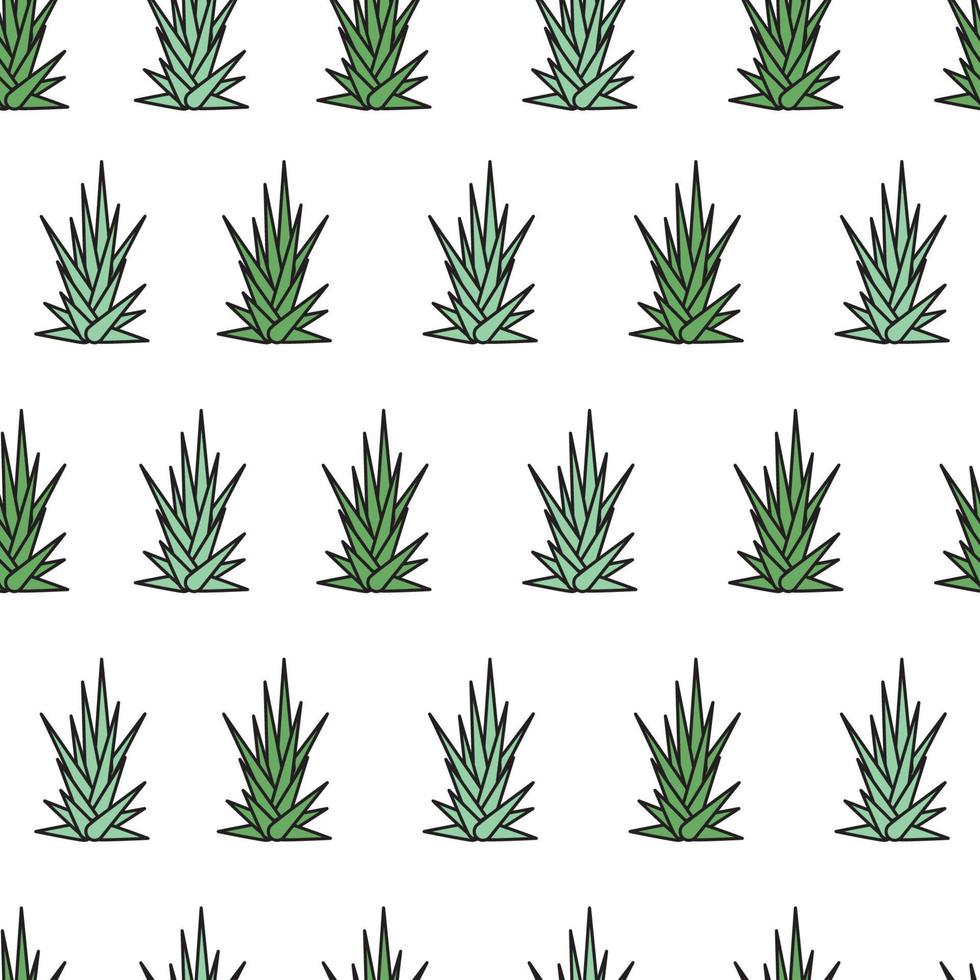 patrón de aloe vera vector