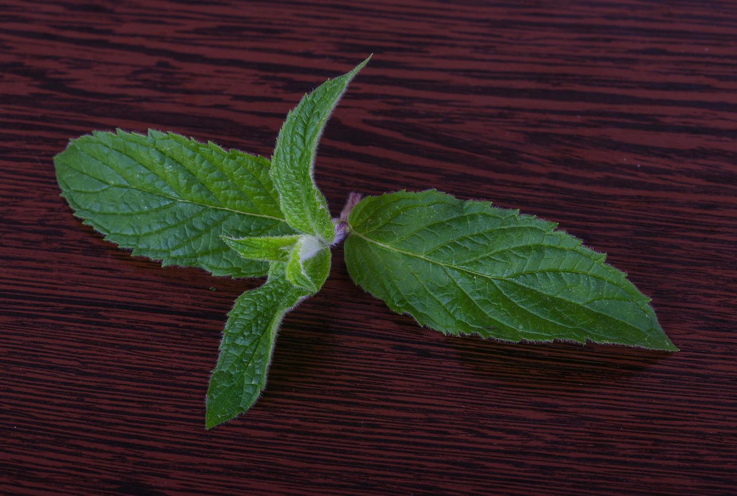 Mint leaves on wooden background photo