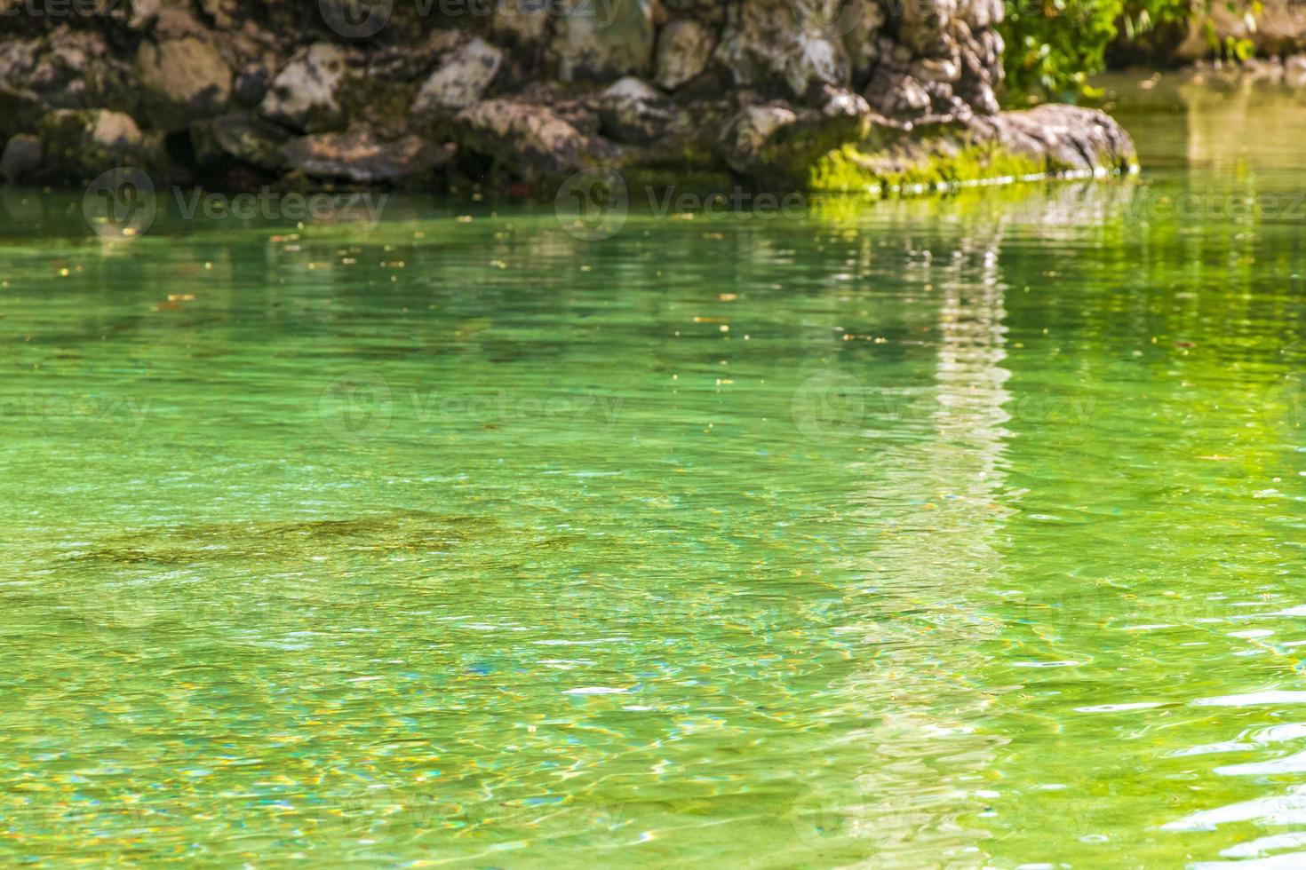 Small beautiful Cenote cave with river turquoise blue water Mexico. photo