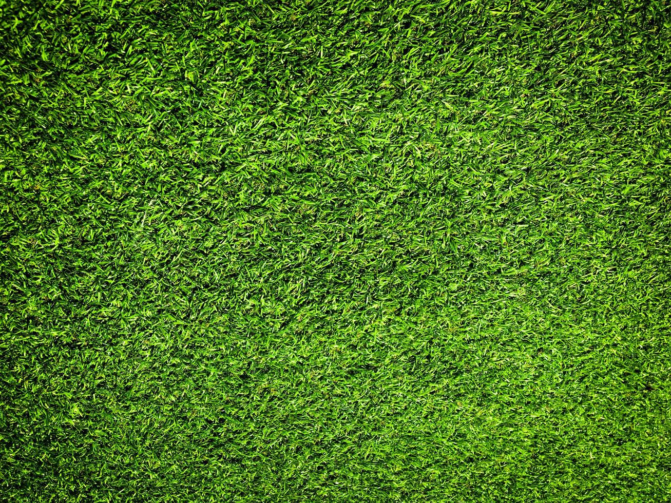 Closeup view of green grass soccer field background. Wallpaper for work and design. photo