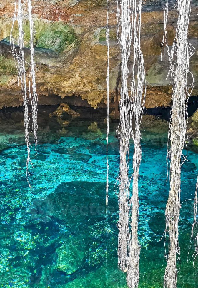 Blue turquoise water limestone cave sinkhole cenote Tajma ha Mexico. photo