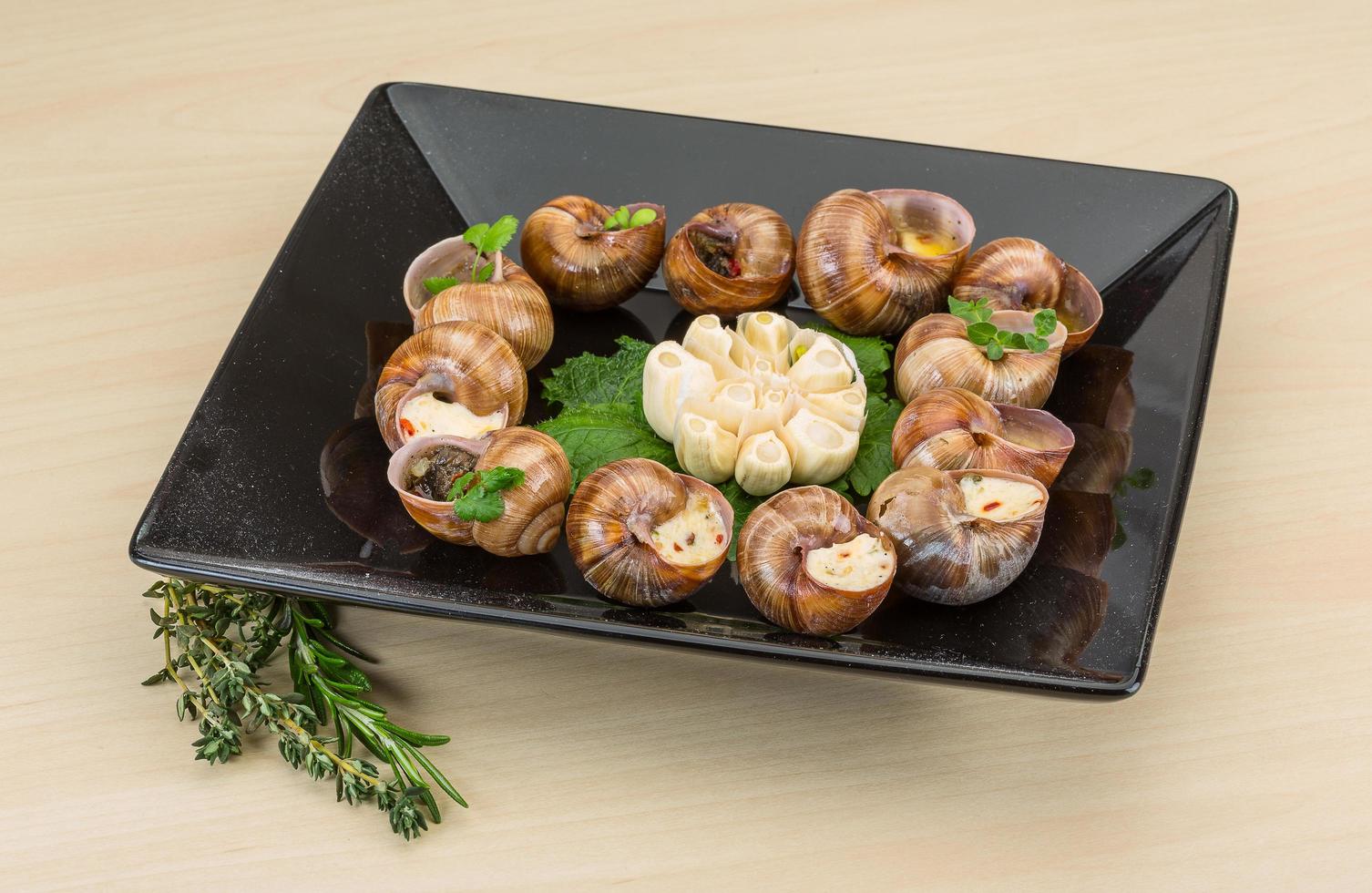 Escargot on the plate and wooden background photo
