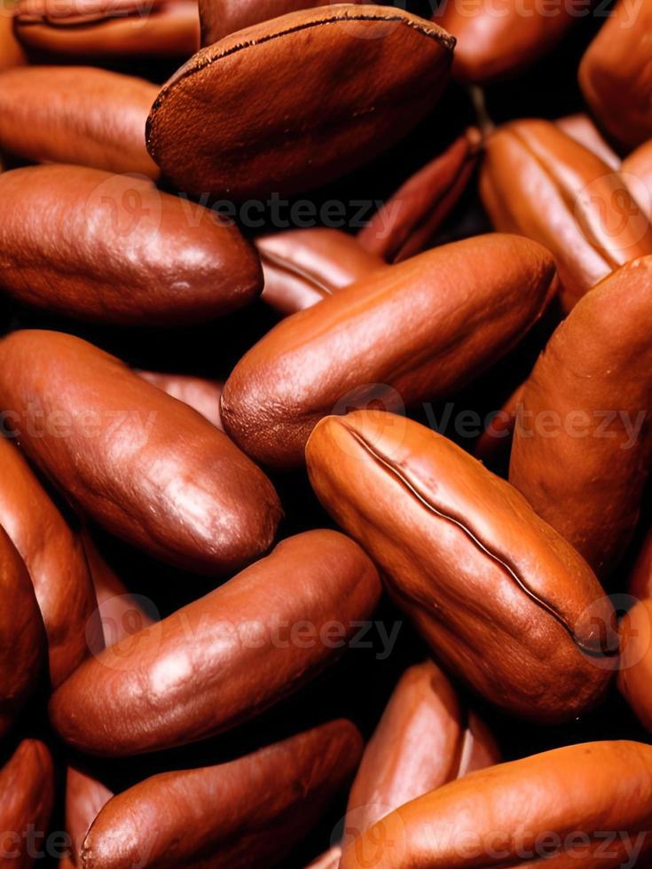 larger quantities of cocoa beans photo