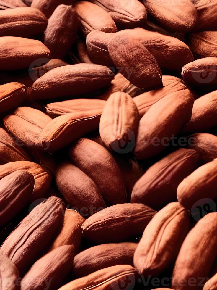 larger quantities of cocoa beans photo