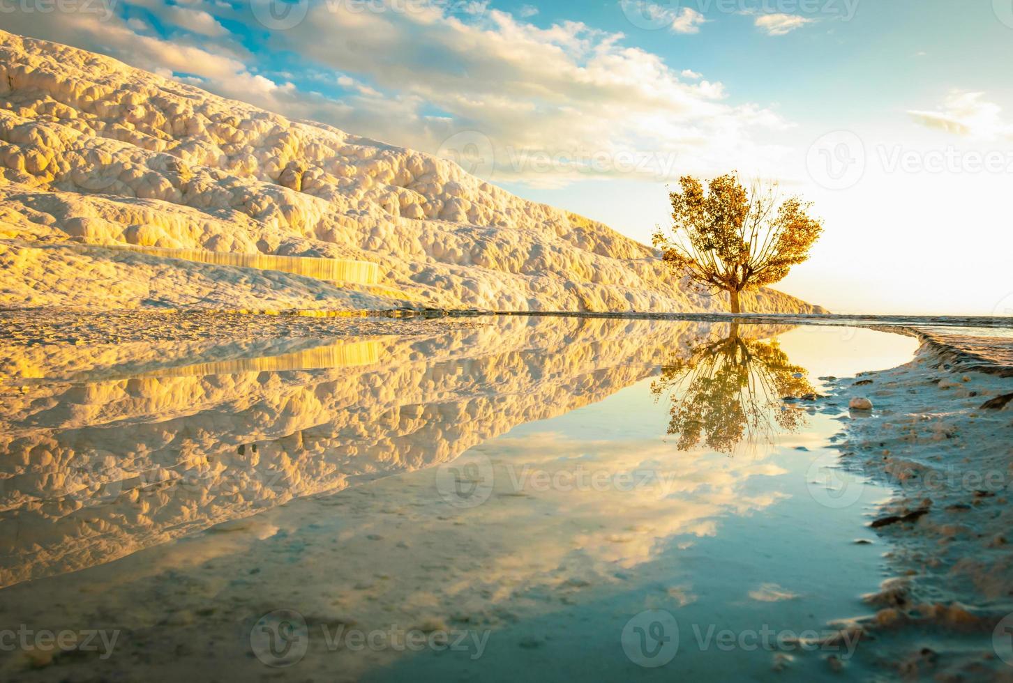 Golden tree and trevertines reflections in mineral spring water. Landscape photography in Pamukkale. Dramatic destination in Turkey. photo