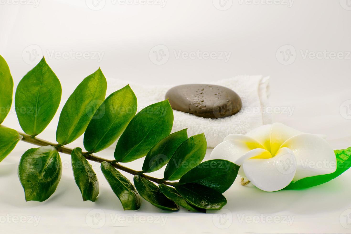 Spa still life on white background, relaxation and spa concept. Green leaves and black wet stones. photo