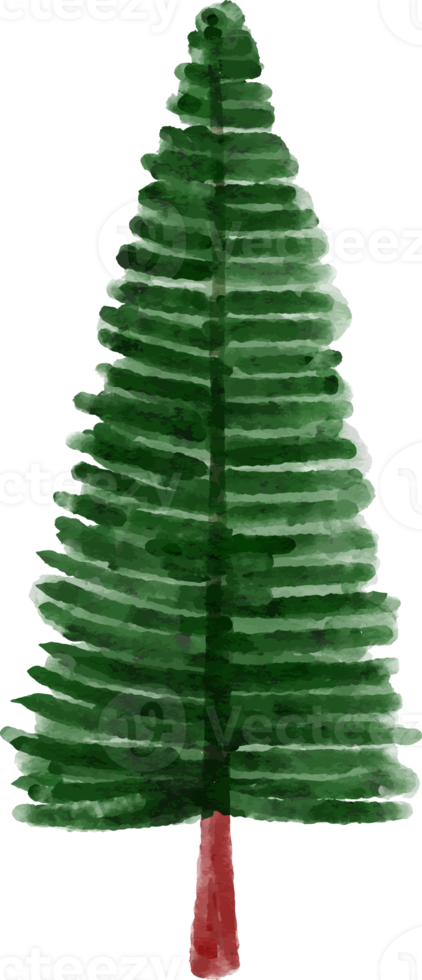 vinter- tall träd vattenfärg png