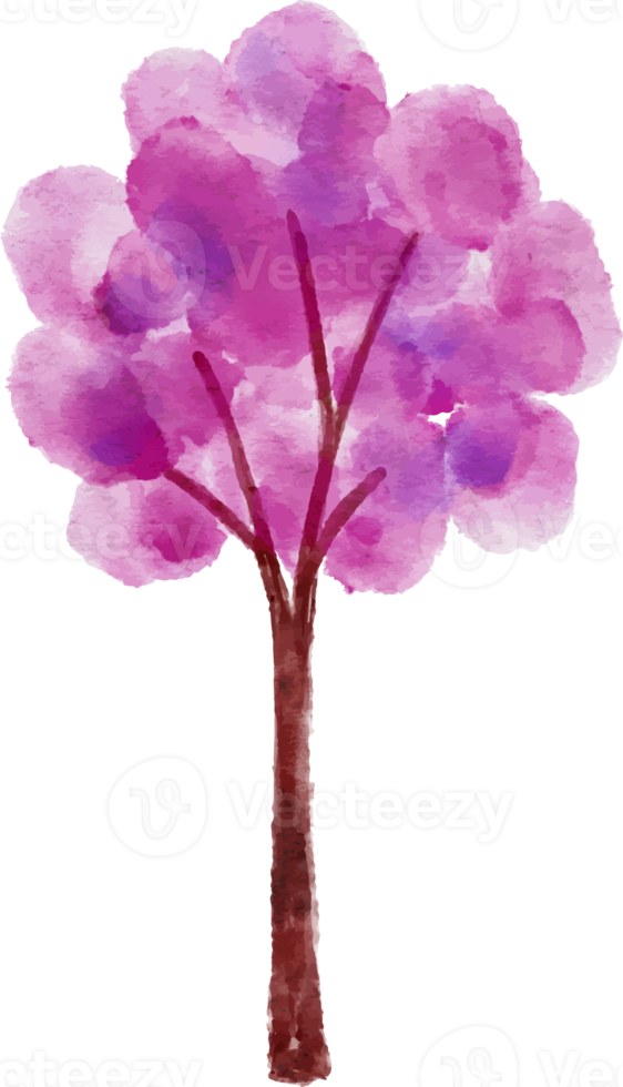 waterverf boom illustratie png