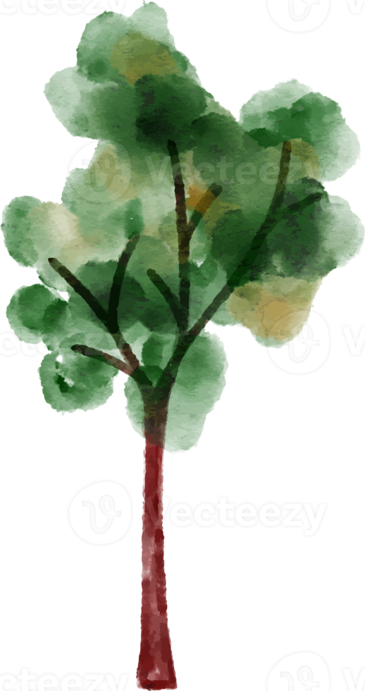 albero elemento acquerello png