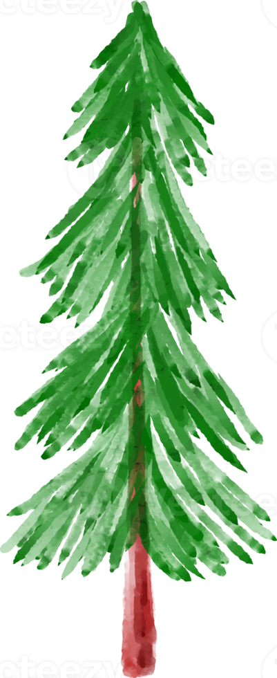 Christmas Watercolor Spruce Tree png