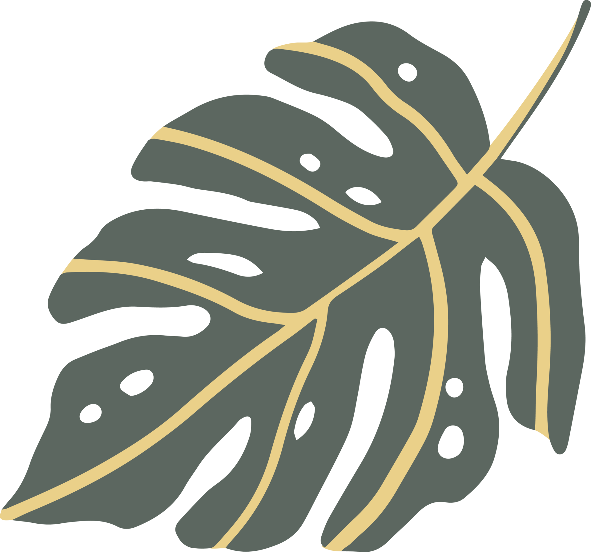 summer tropical leaf 12520836 PNG