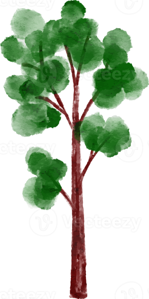 Tree element Watercolor png