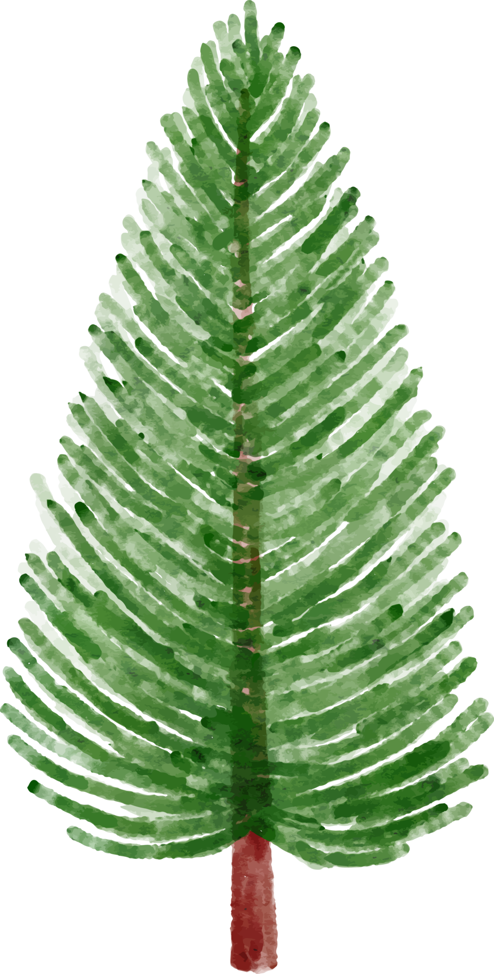 Hand Drawn Spruce Tree Watercolor 12521026 PNG