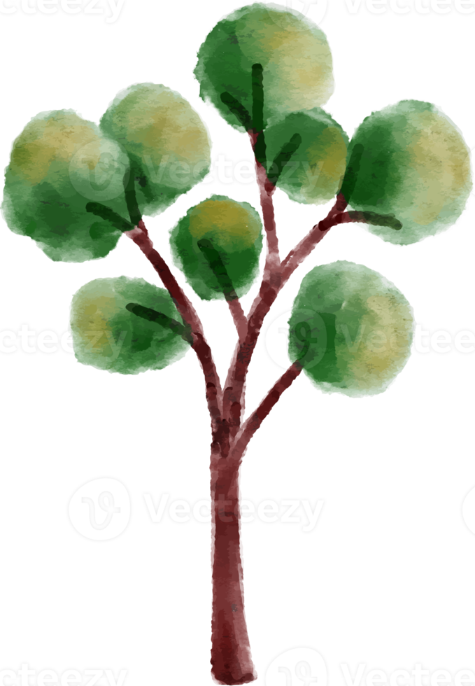 Tree element Watercolor png