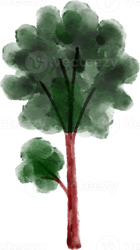 Watercolor Tree element png