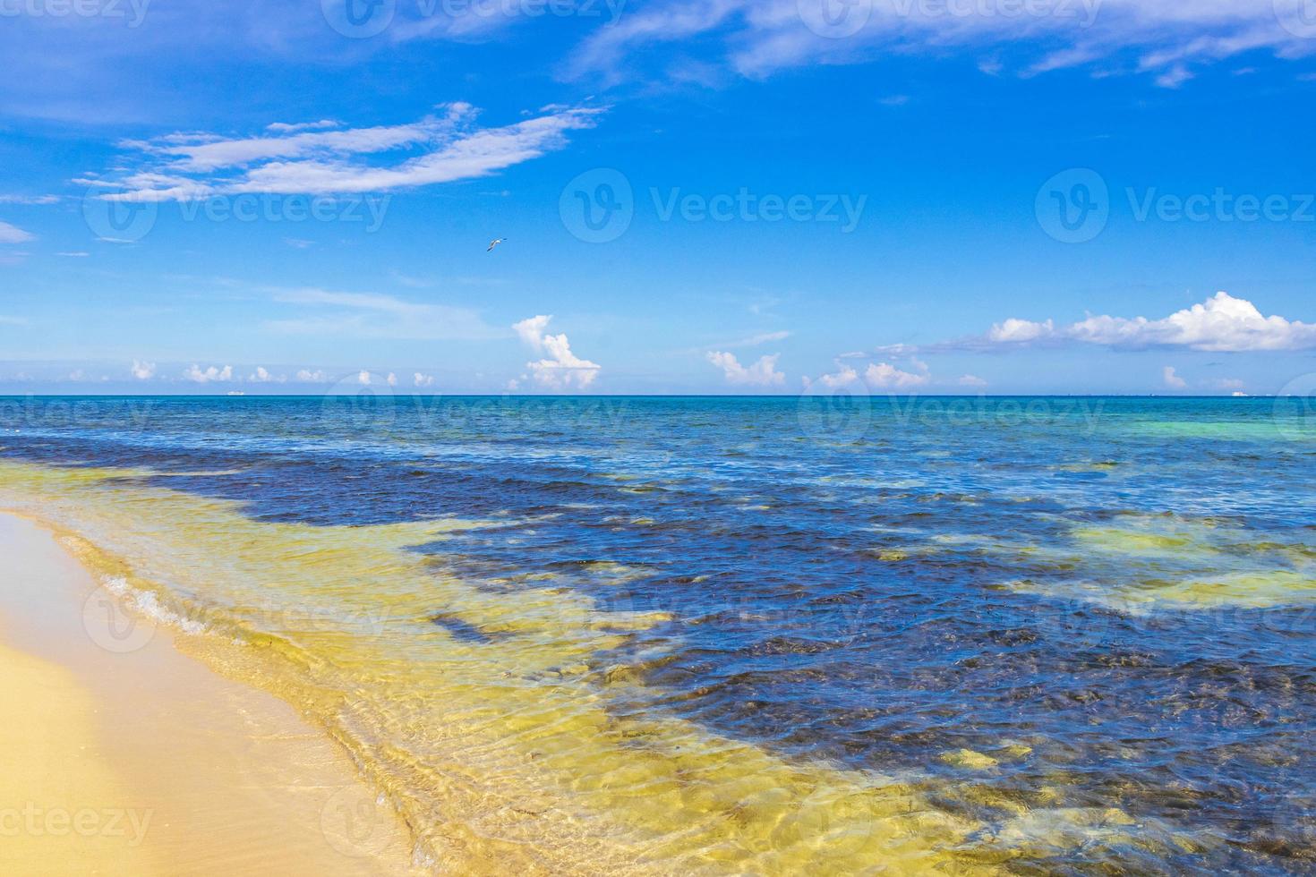 Tropical mexican beach clear turquoise water Playa del Carmen Mexico. photo