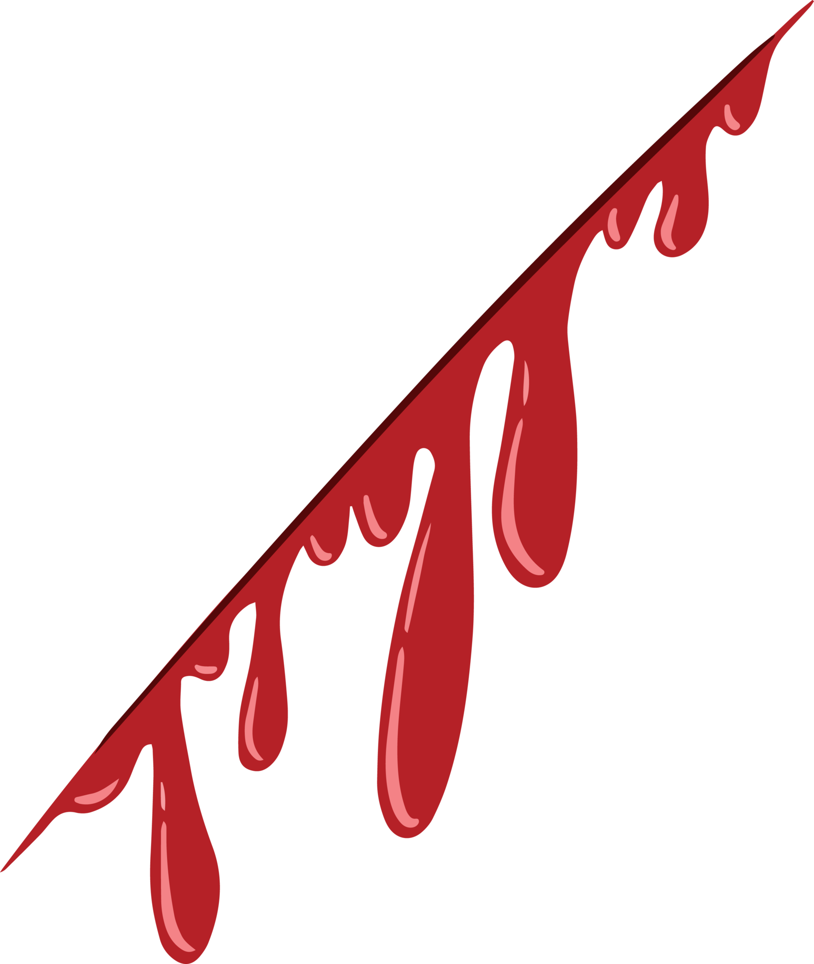 Bleeding Wound Transparent Png Stickpng - vrogue.co