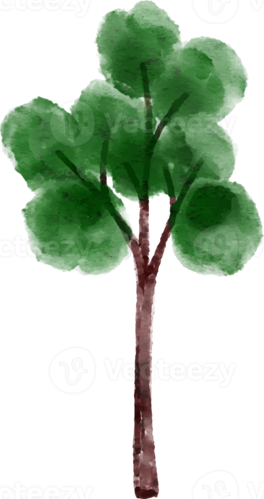 albero elemento acquerello png